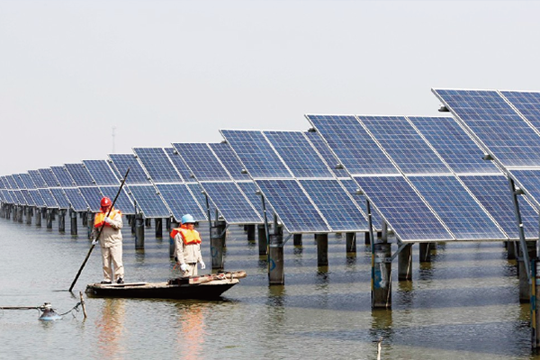 渔光互补50MW光伏项目-广西合浦县鲔丰